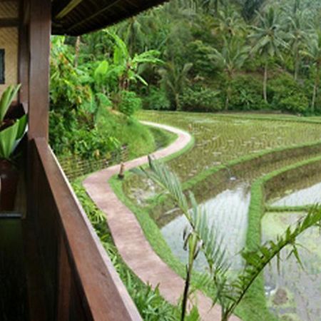 Bali Eco Stay Luaran gambar