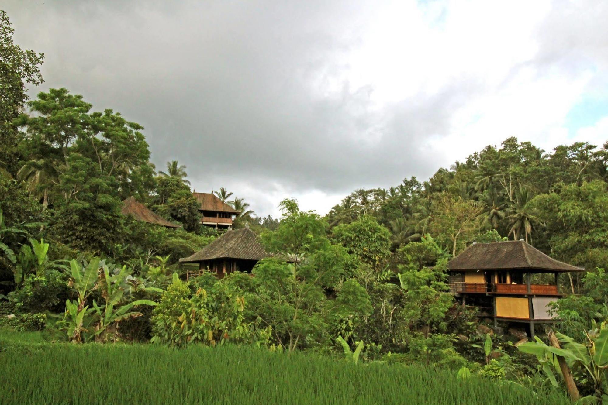 Bali Eco Stay Luaran gambar